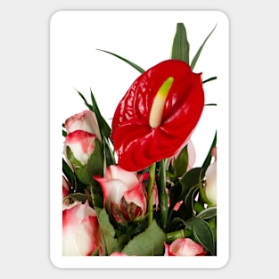 Beautiful red anturio flowers Sticker